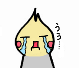 The cockatiel named Konastu sticker #8571426
