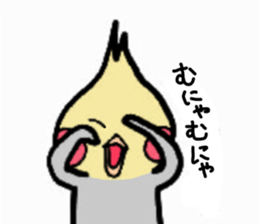 The cockatiel named Konastu sticker #8571427