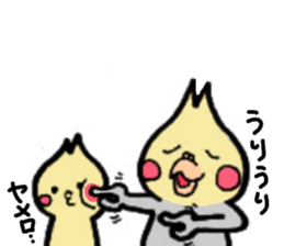 The cockatiel named Konastu sticker #8571430