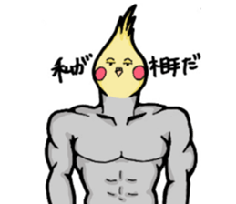 The cockatiel named Konastu sticker #8571431
