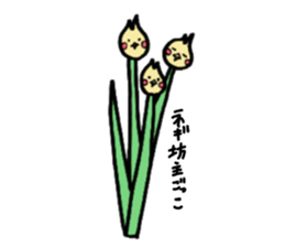 The cockatiel named Konastu sticker #8571432