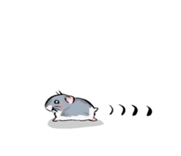 Lovely hamster SHISHAMO! sticker #8573008