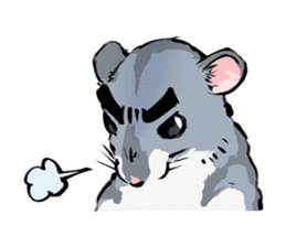 Lovely hamster SHISHAMO! sticker #8573022