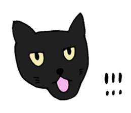 Talkative black cat sticker #8573661