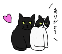 Talkative black cat sticker #8573664