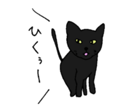 Talkative black cat sticker #8573668