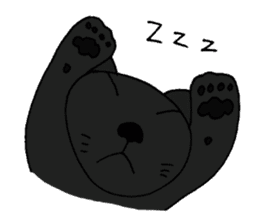 Talkative black cat sticker #8573675