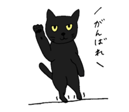 Talkative black cat sticker #8573689