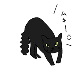 Talkative black cat sticker #8573690