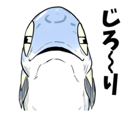 mackerel man sticker #8575121