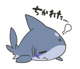 Same-kun sticker sticker #8577062