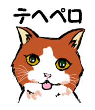 Real cat1 sticker #8580266