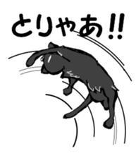 Real cat1 sticker #8580270