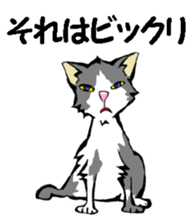 Real cat1 sticker #8580272