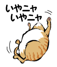 Real cat1 sticker #8580279