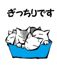 Real cat1 sticker #8580283