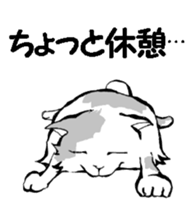 Real cat1 sticker #8580285