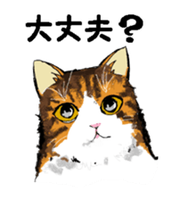 Real cat1 sticker #8580290