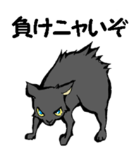 Real cat1 sticker #8580291