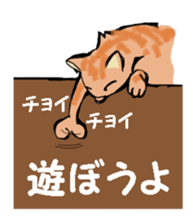 Real cat1 sticker #8580294