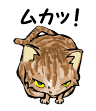 Real cat1 sticker #8580298