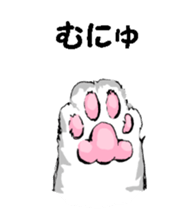 Real cat1 sticker #8580299