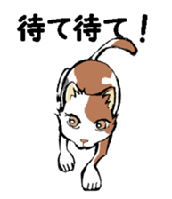 Real cat1 sticker #8580300