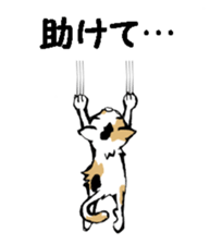 Real cat1 sticker #8580304