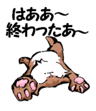 Real cat1 sticker #8580305