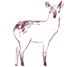 winter creatures sticker #8583147