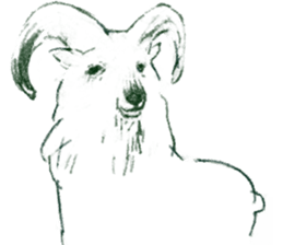 winter creatures sticker #8583153