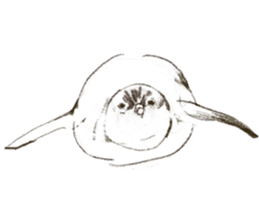 winter creatures sticker #8583160