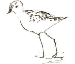 winter creatures sticker #8583165