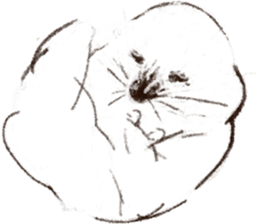 winter creatures sticker #8583170