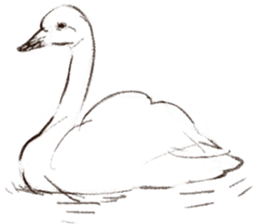 winter creatures sticker #8583172