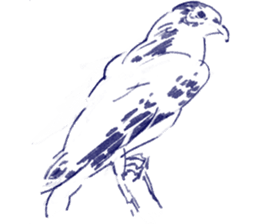 winter creatures sticker #8583175