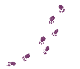 winter creatures sticker #8583185