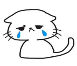 Sticker of the cute cat behavior sticker #8584869