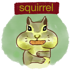 Squirrel Cutie