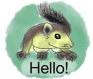 Squirrel Cutie sticker #8585467