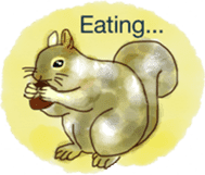Squirrel Cutie sticker #8585474