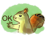 Squirrel Cutie sticker #8585490