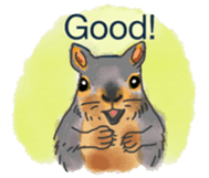 Squirrel Cutie sticker #8585501