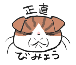 I love Scottishfold. sticker #8585908