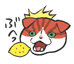 I love Scottishfold. sticker #8585910