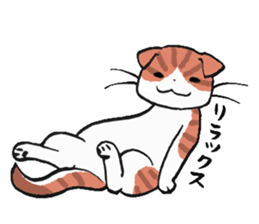 I love Scottishfold. sticker #8585911