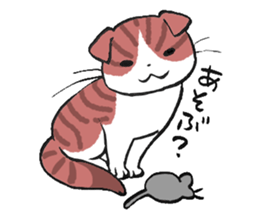 I love Scottishfold. sticker #8585913