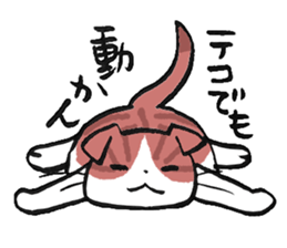 I love Scottishfold. sticker #8585914