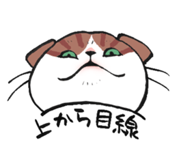 I love Scottishfold. sticker #8585920