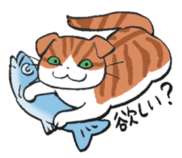 I love Scottishfold. sticker #8585921